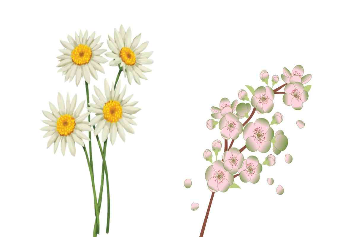 मराठीतील सुंदर फुलांचे कोट्स ( Flower Quotes in Marathi )